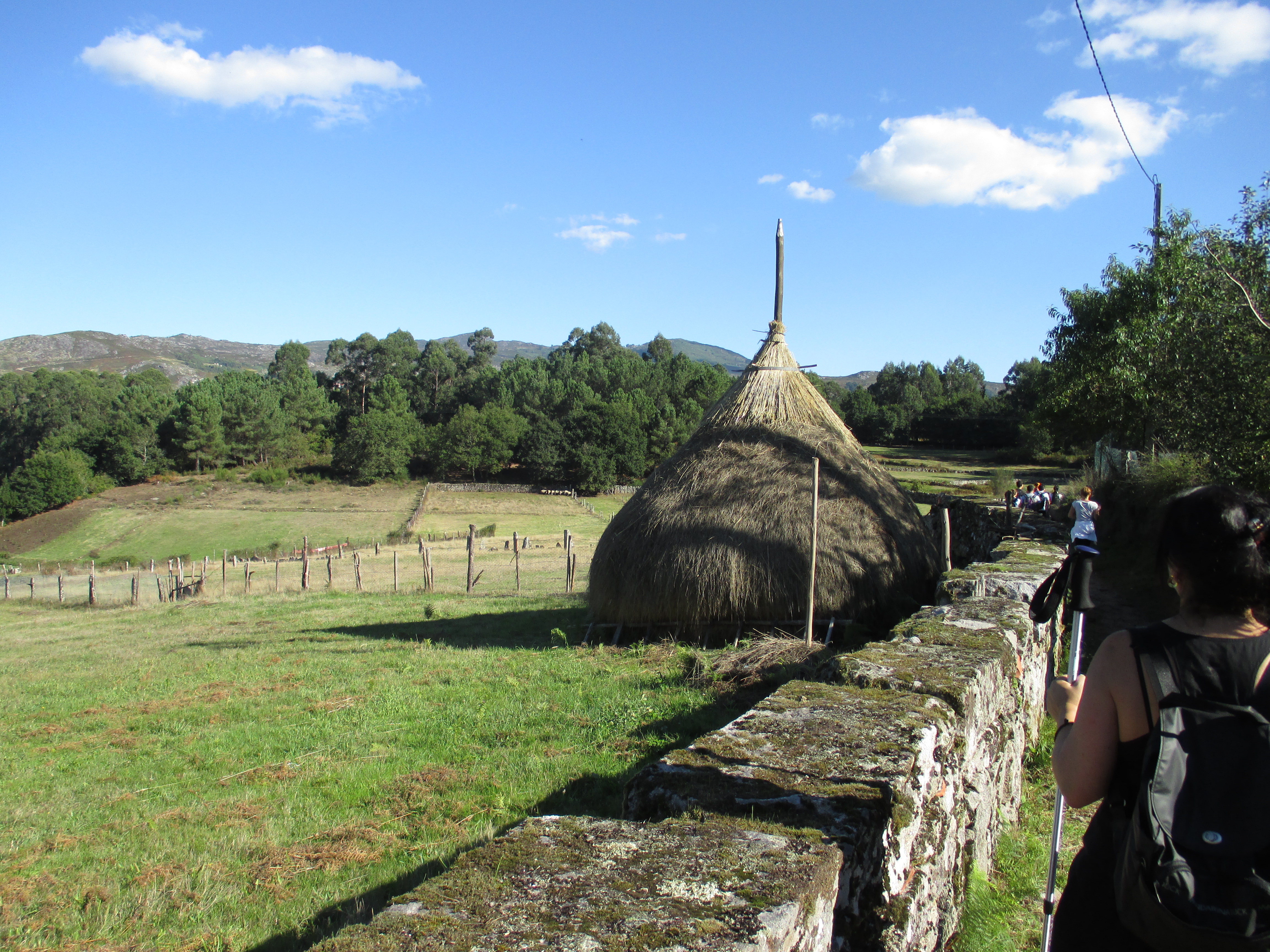 Traditional storage for firewood or grain. We passed thru many little pueblos during our hike.